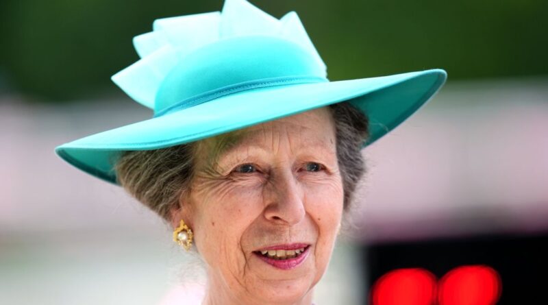 Princess Anne Shares First Statement Following Hospitalization