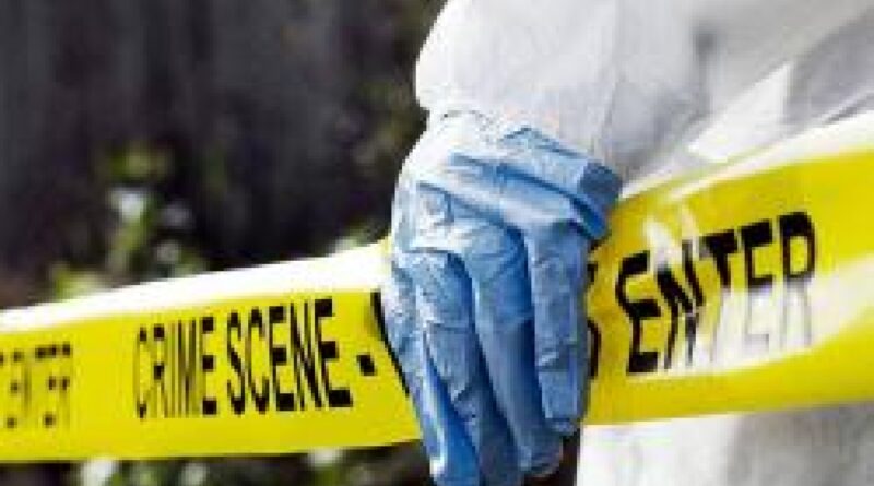 Elderly resident found murdered in her home