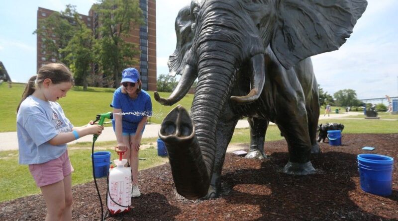 ‘Show some love’ — Tembo the bronze elephant takes her annual bath