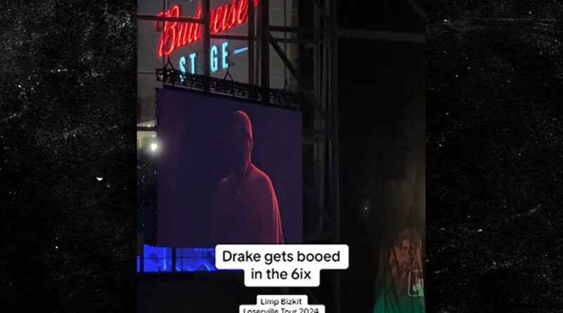 Drake Gets Booed At Limp Bizkit Concert After Fred Durst Introduction