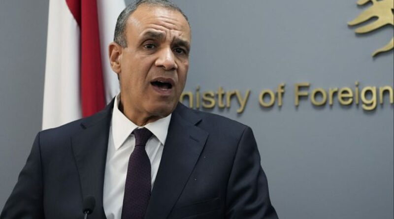 Egypt’s foreign minister calls for an immediate cease-fire in the Gaza Strip