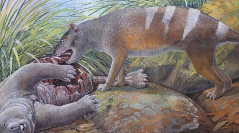 Tasmanian Tiger Ancestor Ate All of Its Prey—Even Bones and Teeth