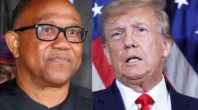 Presidency Compares Peter Obi To Donald Trump