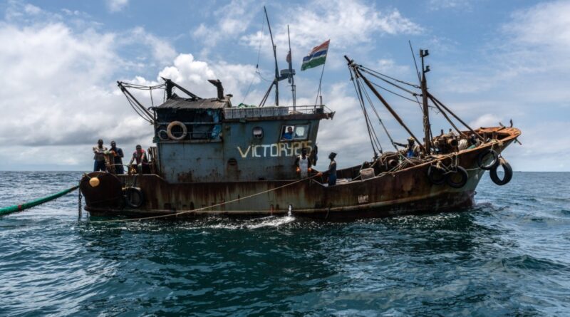 Africa: Africa Must Help Steer the High Seas Treaty Out of Dire Straits