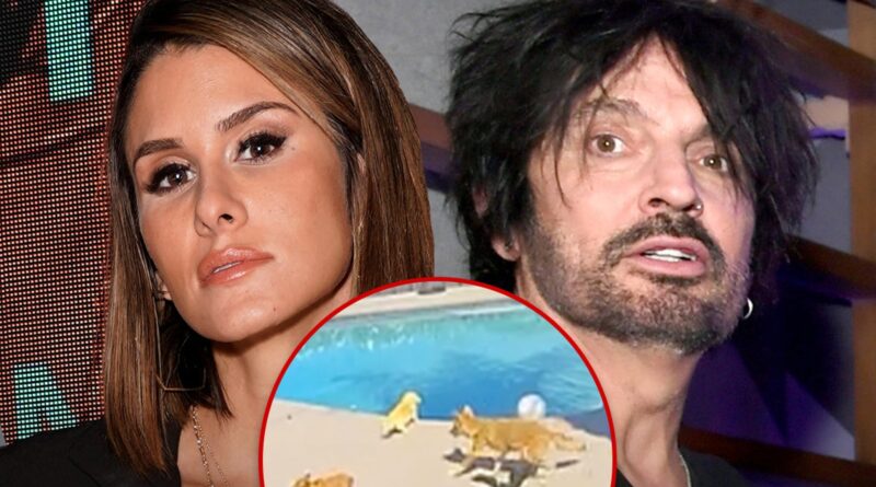 Tommy Lee & Brittany Furlan’s Dog Snatched By Coyote From Their Backyard