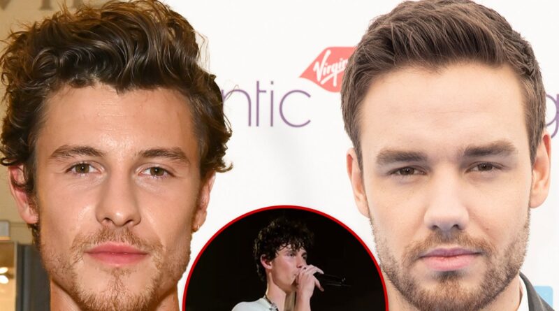 Shawn Mendes Stops Concert To Honor Liam Payne