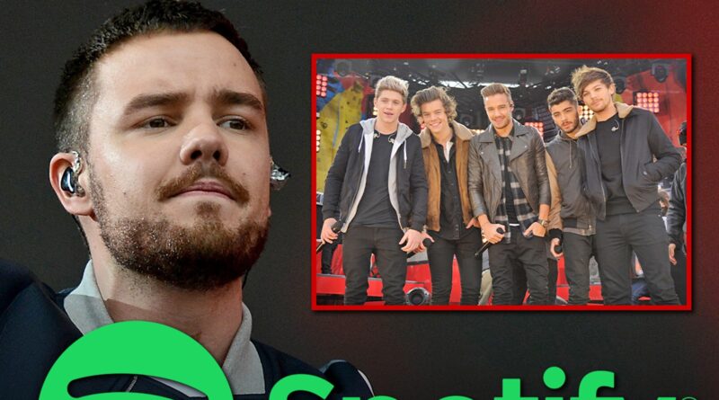 Liam Payne’s Solo & One Direction Spotify Streams Skyrocket Since Death