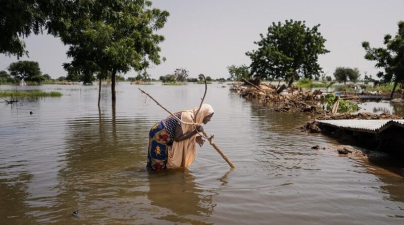 Uganda: COP29