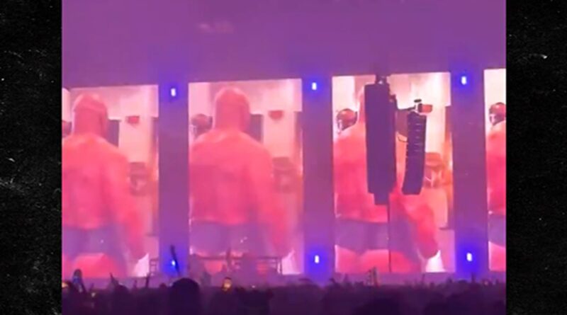 DJ Alison Wonderland Uses Mike Tyson’s Bare Ass in Visuals For Concert