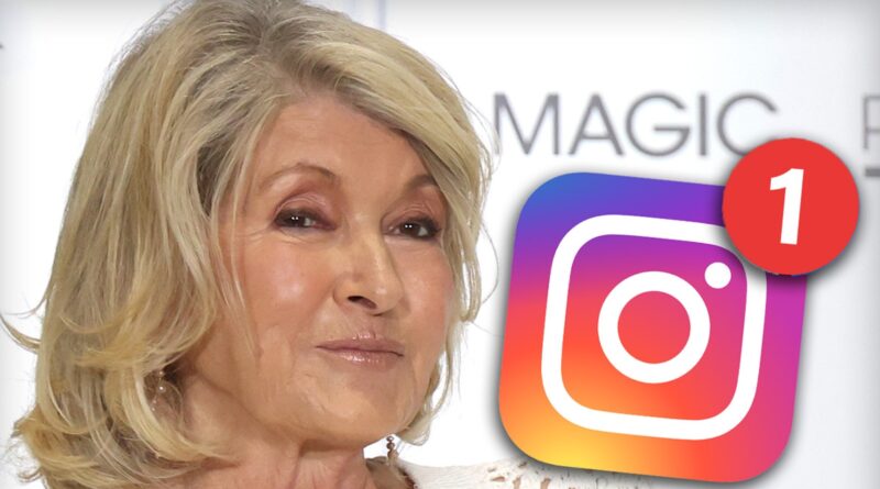 Martha Stewart Admits She Doesn’t Know How to Access DMs on Social Media