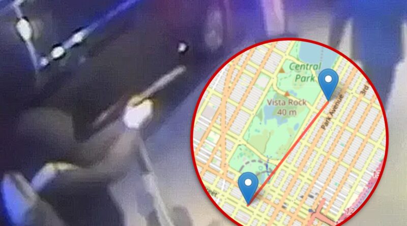 Internet Super-Sleuth May Have Tracked Location of Healthcare CEO Assassin