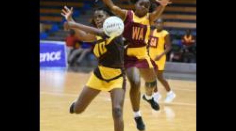 St Catherine, Holmwood top ISSA senior finals