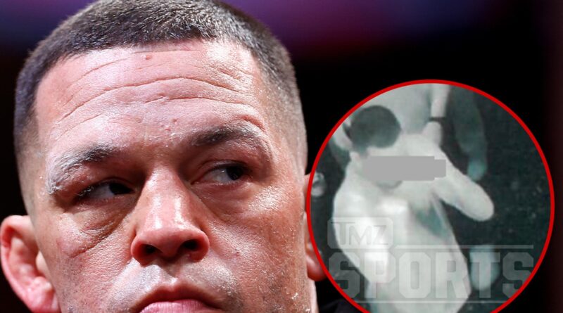 Nate Diaz Charged With Battery Over Alleged Fight With Vegas Nightclub Guard