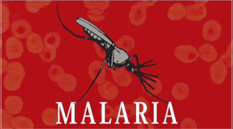 Malaria Mortality Returns To Pre-Covid Levels — WHO