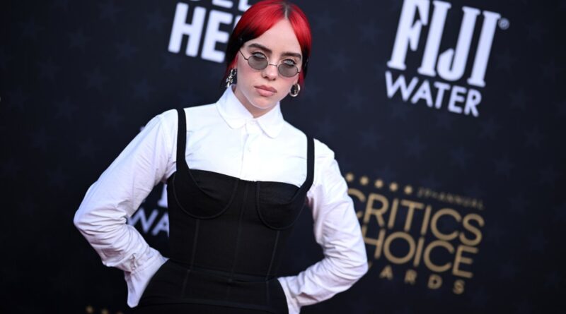 Billie Eilish Teams Up With Support+Feed & American Express to Provide Meals By Supporting Local Businesses