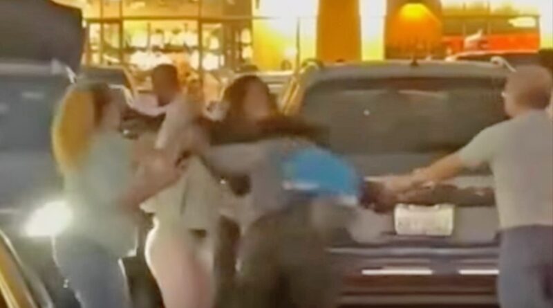 Police Searching For Persons of Interest in Wild California Fight Video