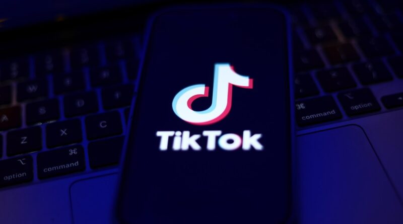 Donald Trump Asks Supreme Court to Delay TikTok Ban