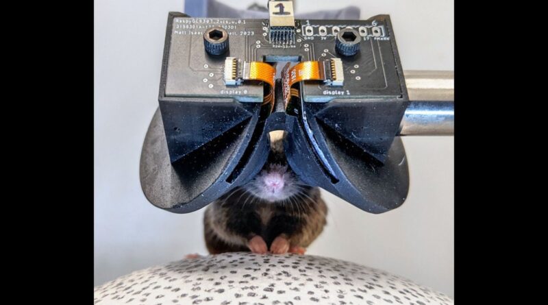 Scientists Built Tiny VR Goggles for Mice