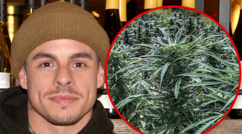 Jennifer Lopez’s Ex Casper Smart’s House Searched by Cops After Marijuana Tip