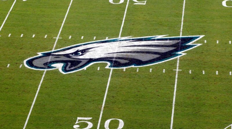 Eagles fan dies after fall from pole in celebration