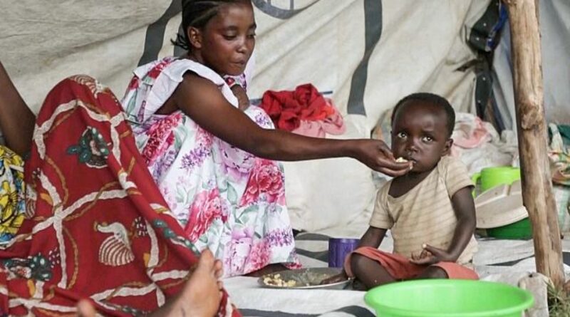 DRC: UN agencies warn of escalating food crisis due to conflict and price hike