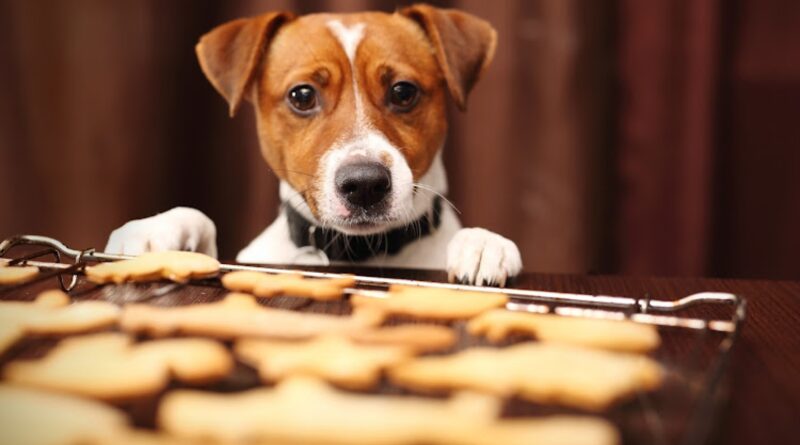 Pet food trends