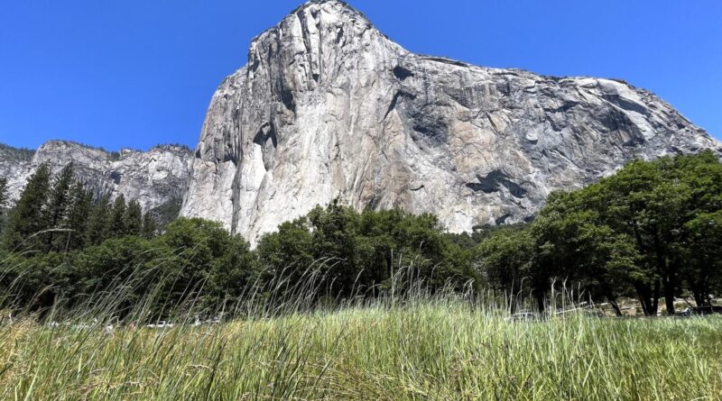 Trump administration orders national parks to remain open amid staffing shortages