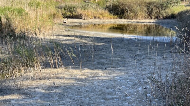 Drought relief boosted by $55m, with farmers promised ‘faster’ responses