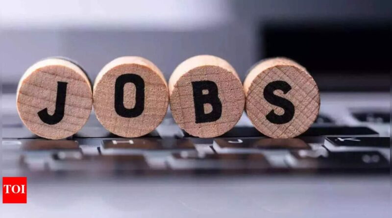 Goa govt jobs to require 6-month computer course certificate