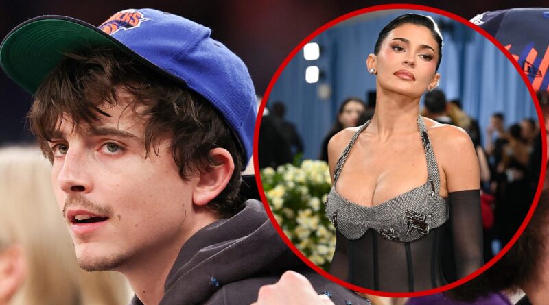 Timothée Chalamet Skips Met Gala to Watch New York Knicks Playoff Game
