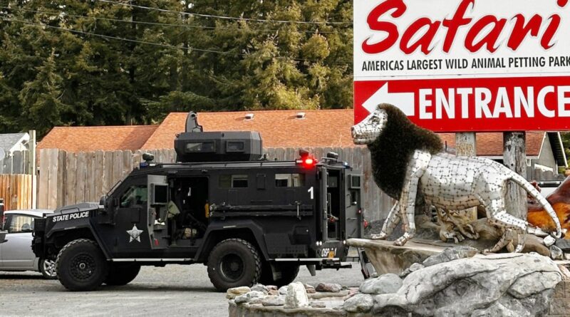 Oregon Safari Park Reportedly Starved Lions and Left Dead Tiger in Freezer