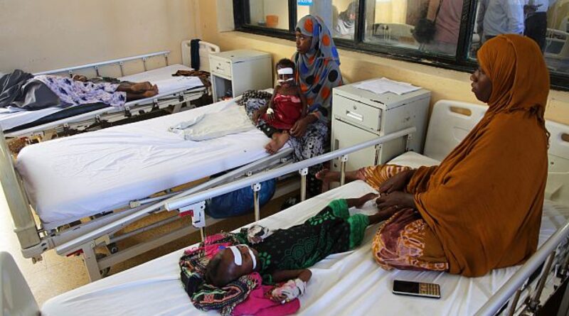 Global hunger worsened in 2024, affecting 295 mln people: UN report