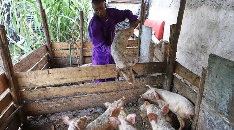 They once lived the ‘gangster life.’ Now they tackle food insecurity in Kenya’s slums