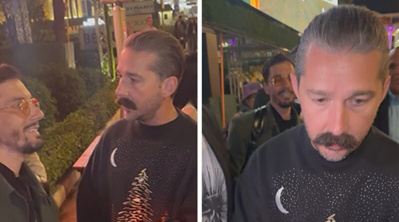 Shia LaBeouf Has Tense Moment With Obnoxious Fans at Cannes, on Camera