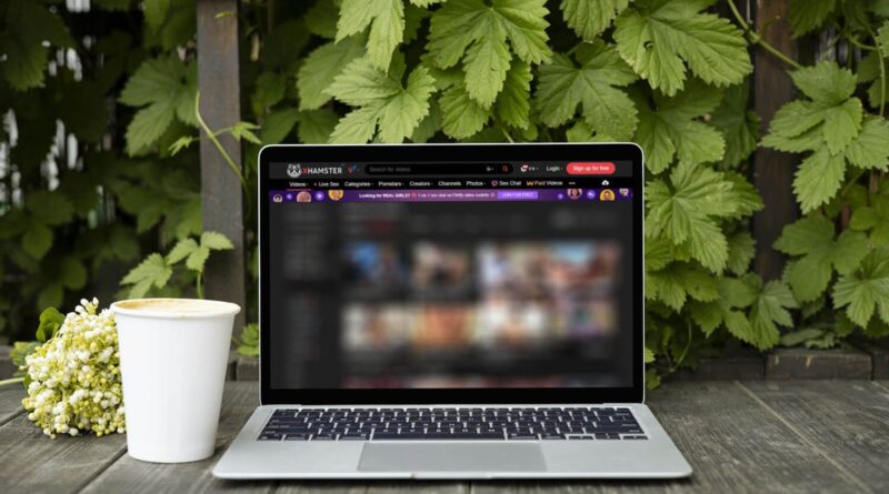 North Dakota Joins Growing League of States Requiring Age Verification for Porn