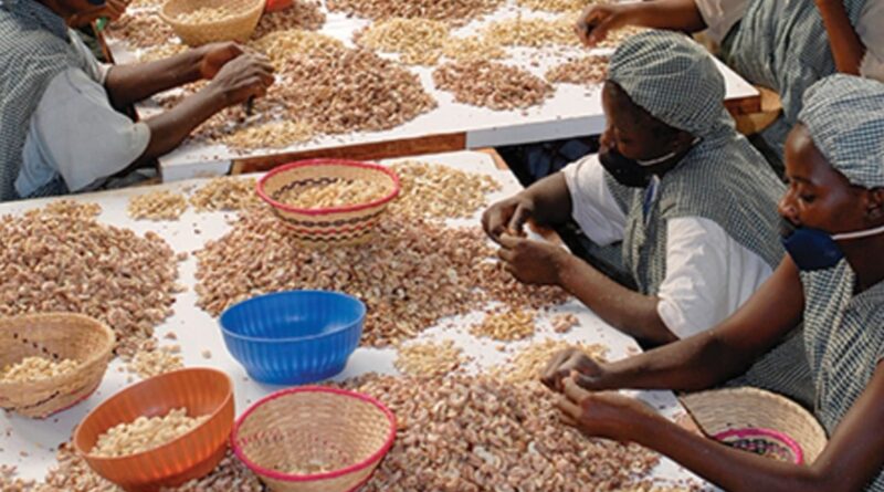 Africa: Côte d’Ivoire Launches West Africa’s First Agricultural Commodities Exchange