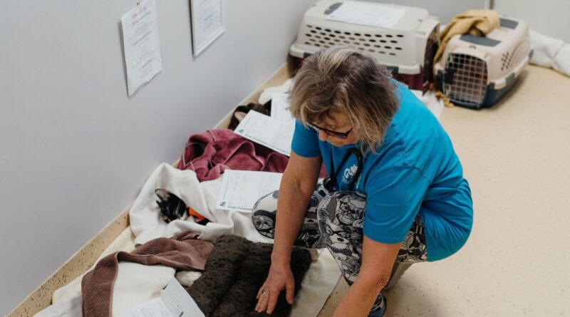 Ontario animal shelter ‘bursting at the seams,’ taking care of pets in hallways