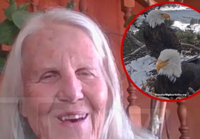 Wildlife Advocate Says Eaglets in Big Bear at Risk Because of 4th of July Fireworks