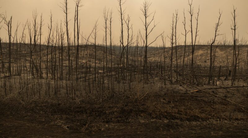 Patuanak residents cut off by wildfire, more Saskatchewan communities forced to evacuate
