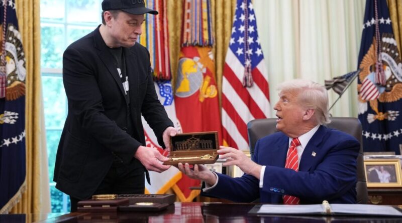 How Elon Musk Created a Nightmare for Donald Trump