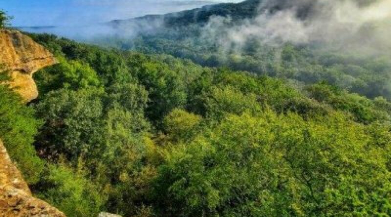 Suspect sought in deaths of couple hiking in Arkansas State Park