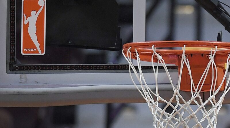 Another sex toy gets thrown onto court during WNBA game…