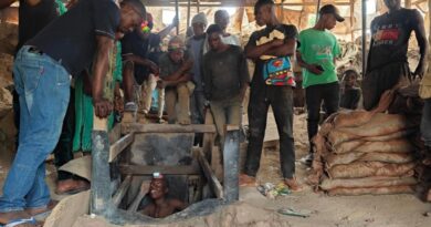 Congo-Kinshasa: U.S. Sanctions Critical Minerals Traffickers Stoking Armed Conflict in the Eastern Democratic Republic of the Congo
