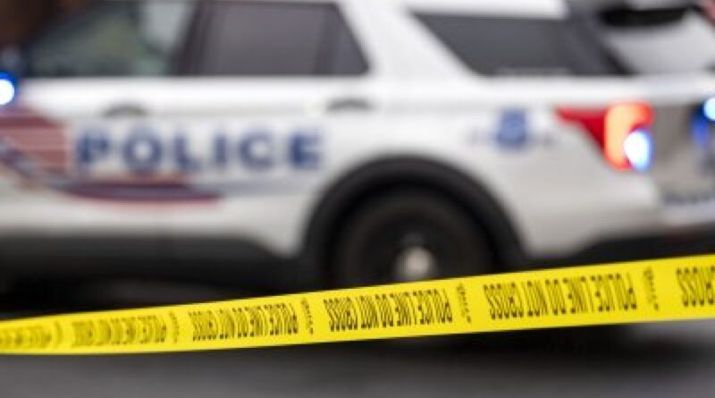 Ex-Maui police officer pleads guilty in tasing suspect for no reason