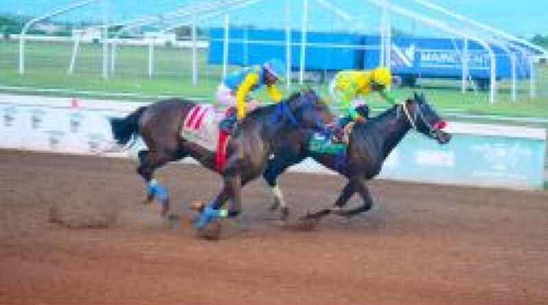 Millions at stake in single-winner bonus