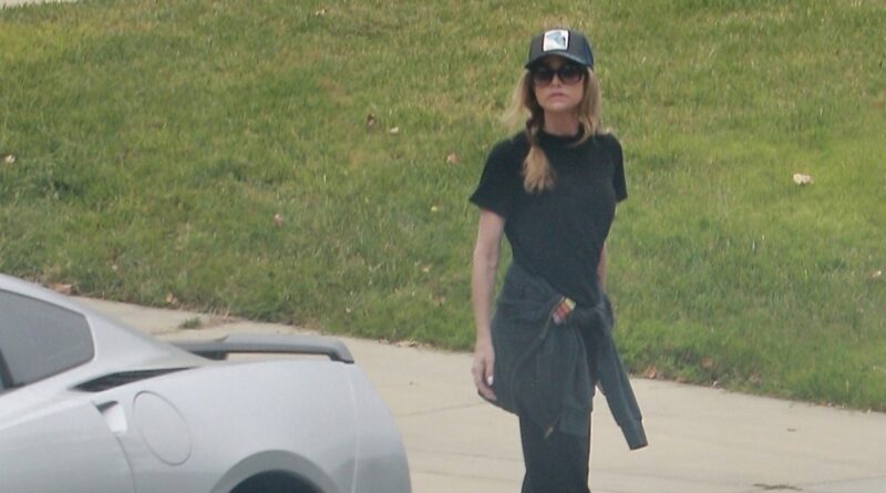 Denise Richards Moves Dogs and Furniture Out of Rental House Amid Divorce