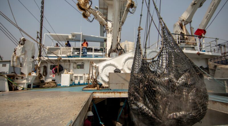 Human Impacts on Ocean Could Double or Triple by 2050, a New UC Santa Barbara Study Warns