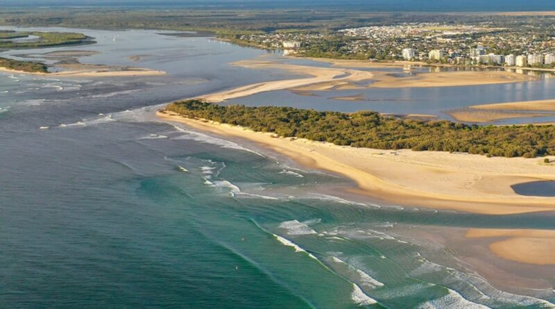 Scramble to protect island bee colony from parasitic killer