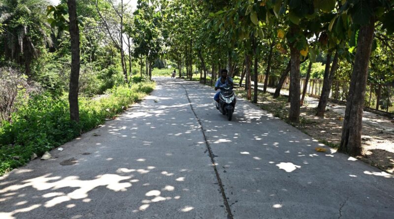 WRD to develop M.G.R. Statue-Sunnambukaranpatti road along Uyyakondan riverbank