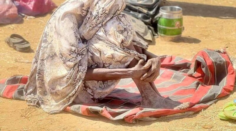 Sudan: The Fall of El-Fasher Marks a Turning Point